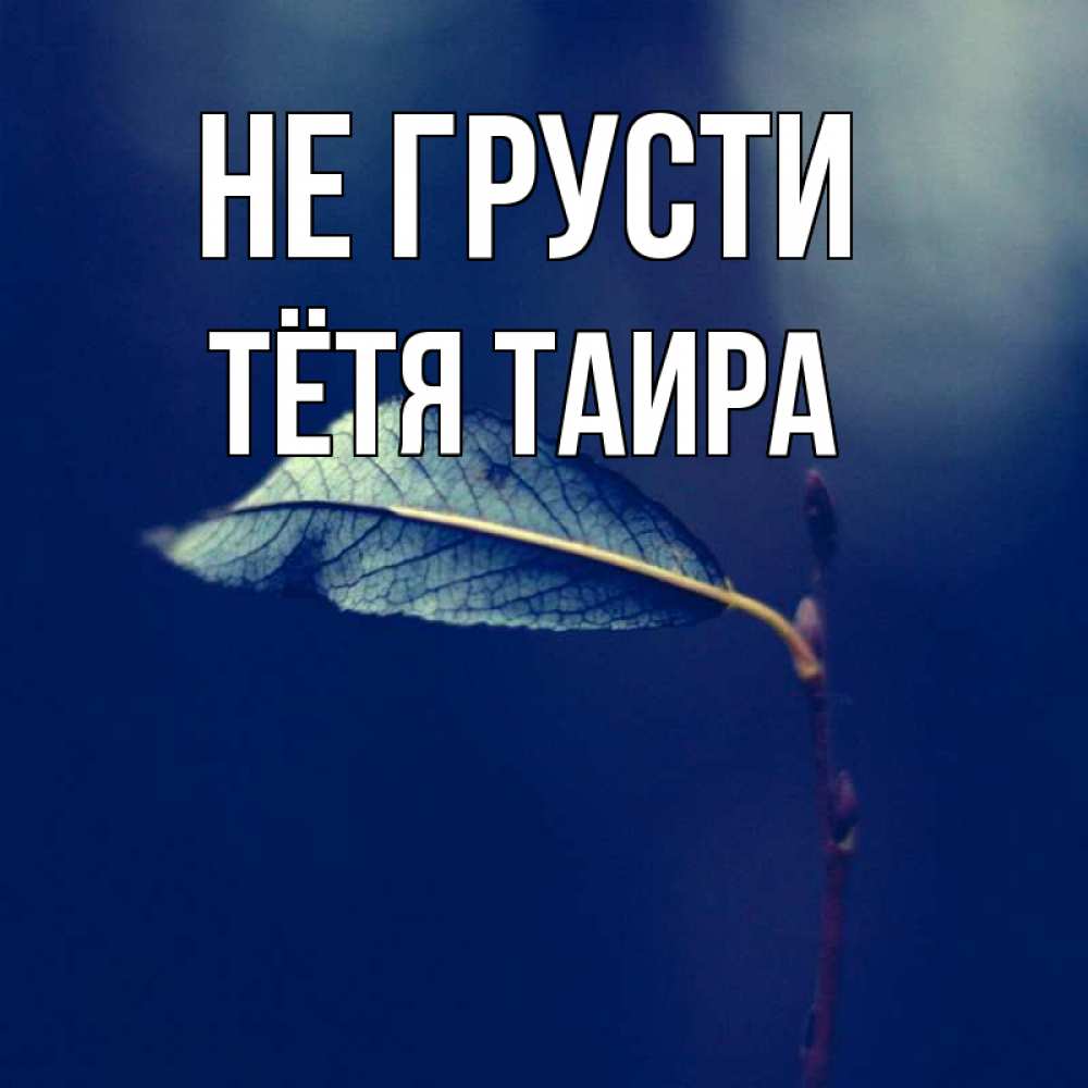 Открытка на каждый день с именем, Тётя-Таира Не грусти растение Прикольная открытка с пожеланием онлайн скачать бесплатно 