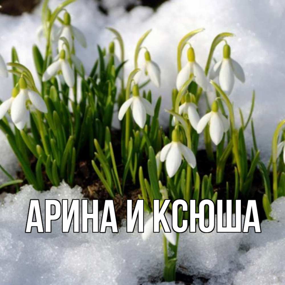 Открытка на каждый день с именем, Арина-и-Ксюша Главная цветы весенние Прикольная открытка с пожеланием онлайн скачать бесплатно 