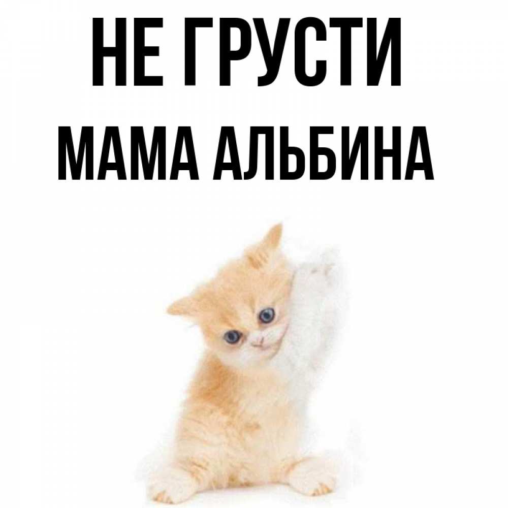 Папа мама не грусти песня