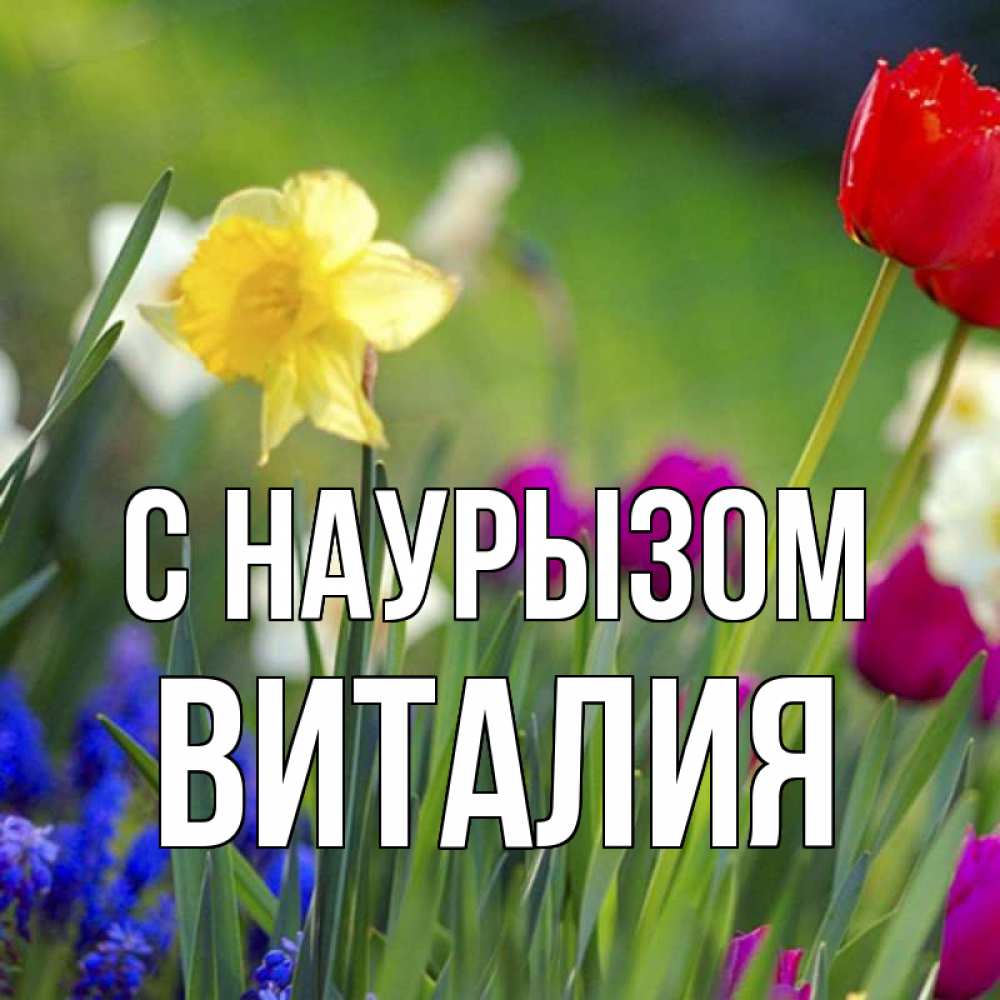 Открытка на каждый день с именем, Виталия С наурызом праздник весны наурыз 3 Прикольная открытка с пожеланием онлайн скачать бесплатно 
