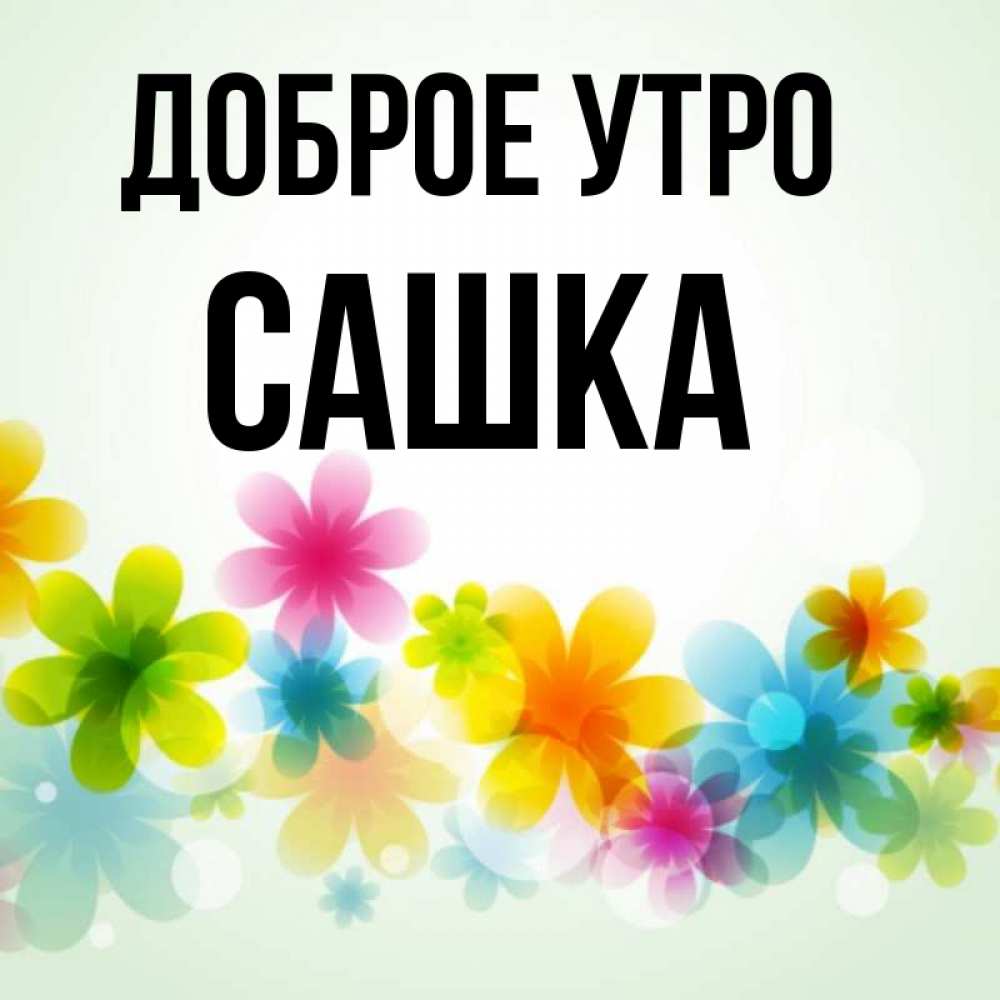 Сашка добрый. Сашка добрый. Сашка добрый. Сашка добрый. Доброе утро сашка.