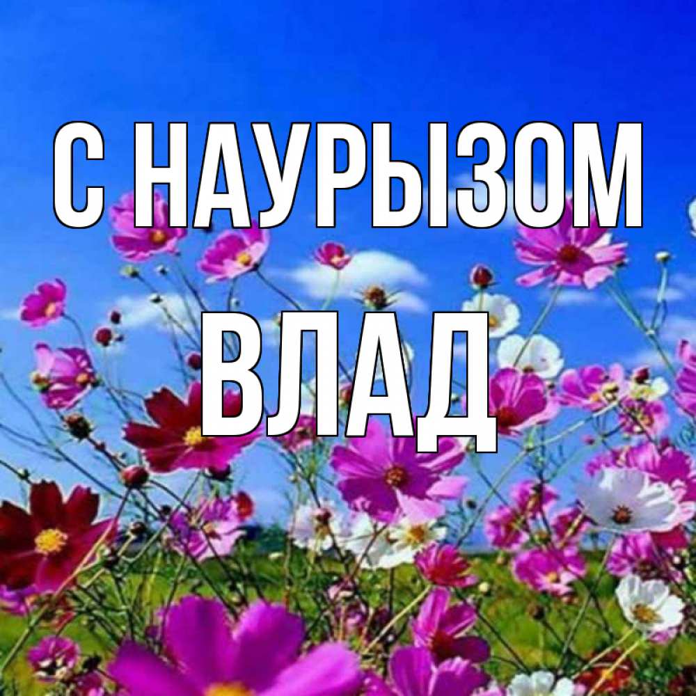 Картинка С наурызом, Влад