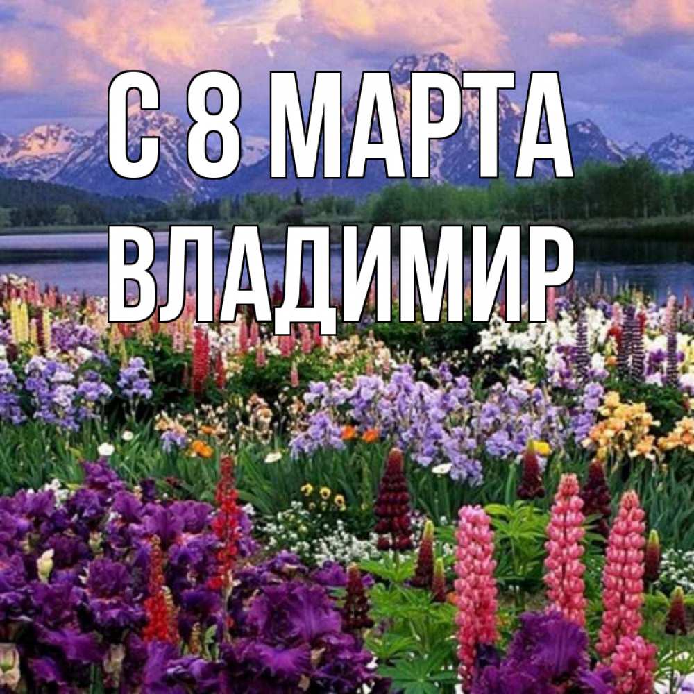 Открытка на каждый день с именем, Владимир С 8 МАРТА международный женский день Прикольная открытка с пожеланием онлайн скачать бесплатно 