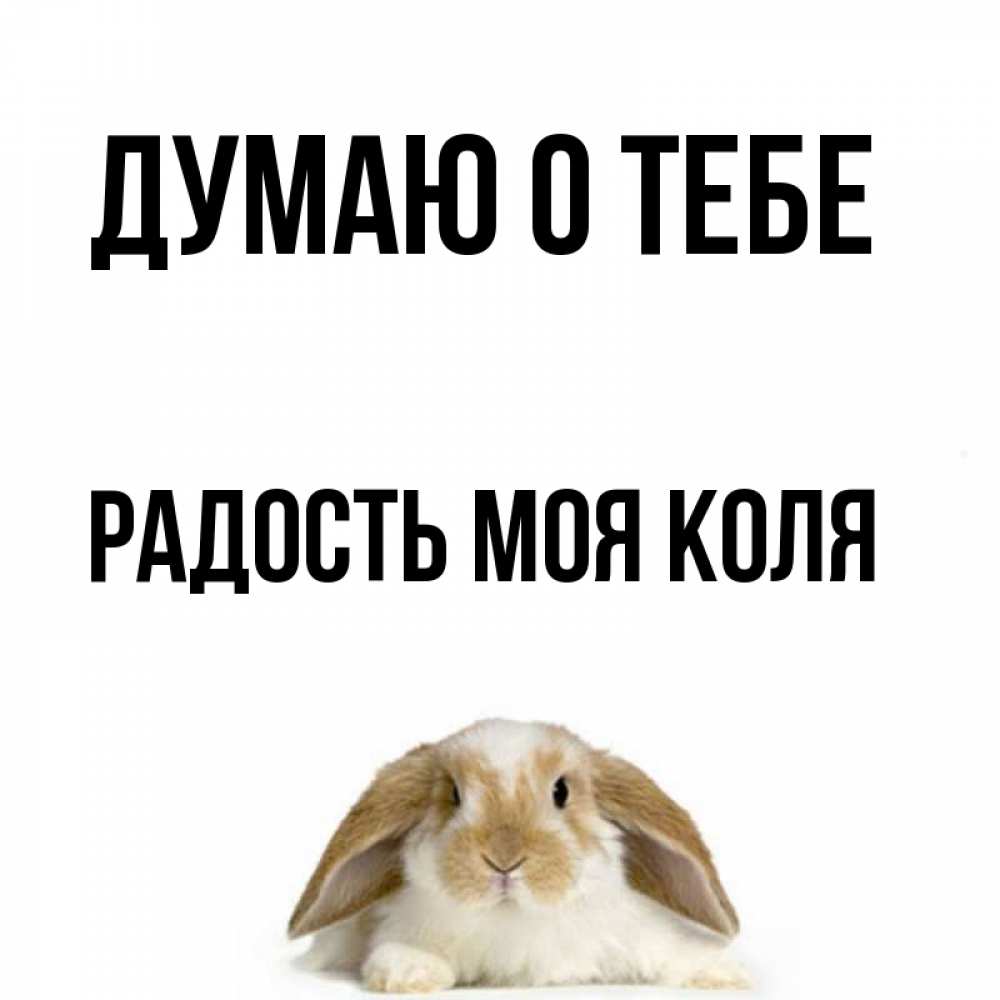 Как коля и думал просьба огэ. Как коля и думал просьба огэ