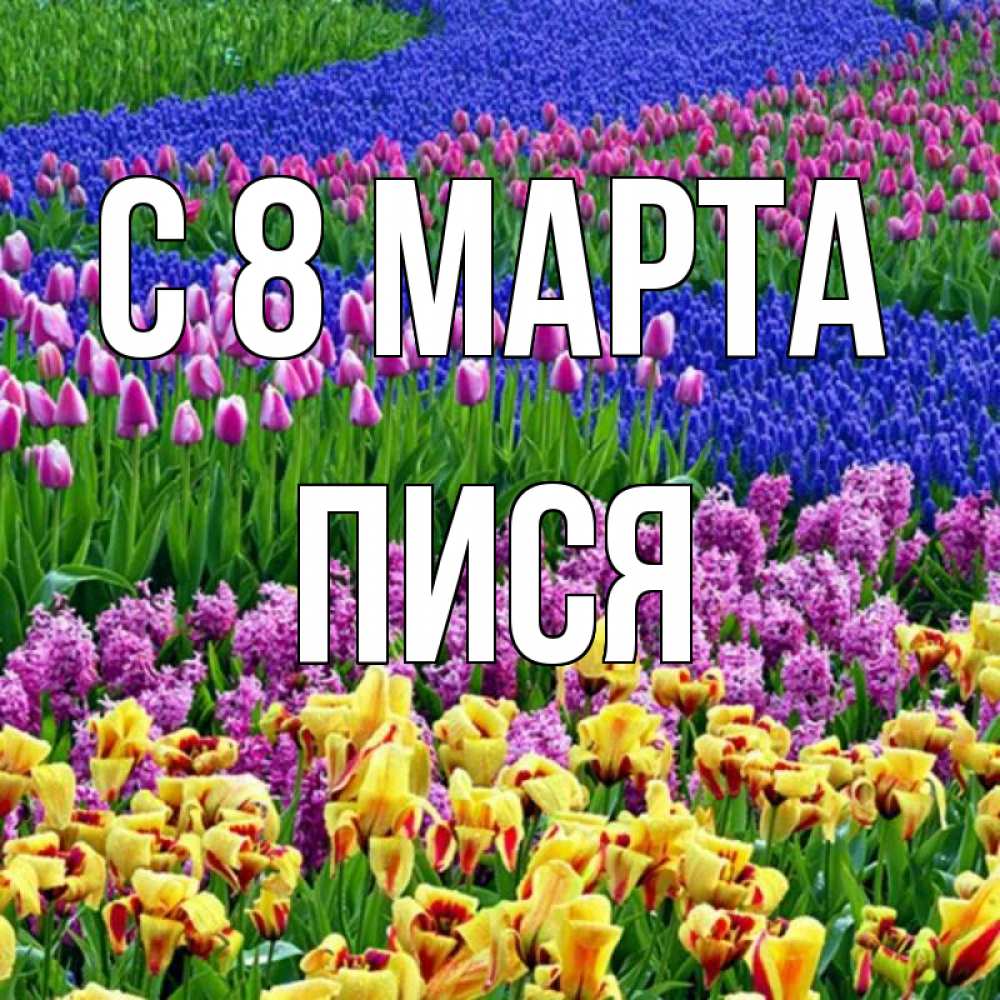 Картинка С 8 МАРТА, Пися