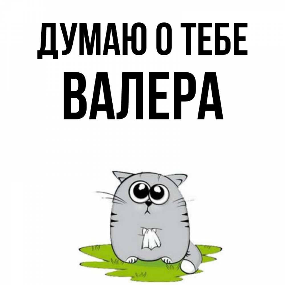 Валера думай. Картинки с именем Валера. Картинки думаю о тебе Валера. Думаю о тебе Валера котик. Картинка Валера и кот.