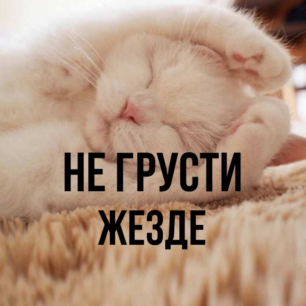 Привет дашуля картинки