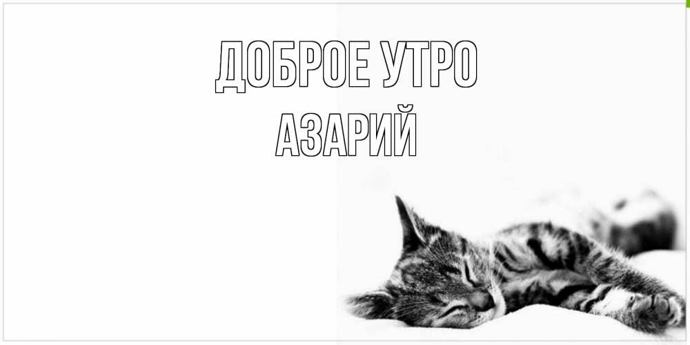 Открытка на каждый день с именем, Азарий Доброе утро котуся Прикольная открытка с пожеланием онлайн скачать бесплатно 