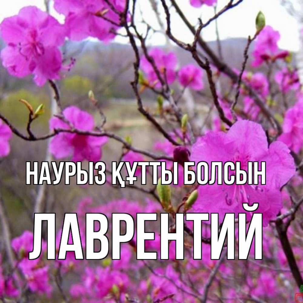 Открытка на каждый день с именем, Лаврентий Наурыз құтты болсын наурыз мейрамы кутты болсын Прикольная открытка с пожеланием онлайн скачать бесплатно 