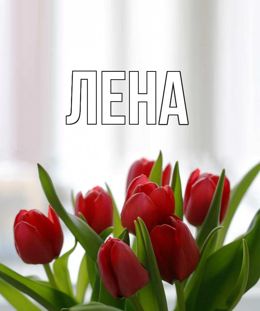 Открытка на каждый день с именем, Лена Главная полевые цветы Прикольная открытка с пожеланием онлайн скачать бесплатно 