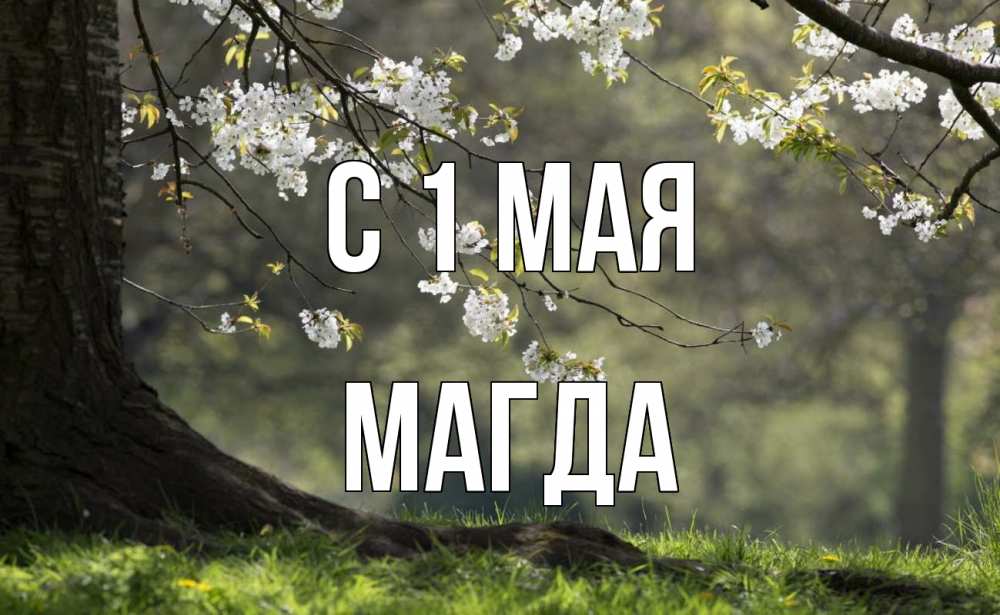 Открытка на каждый день с именем, Магда С 1 мая С 1 мая Прикольная открытка с пожеланием онлайн скачать бесплатно 