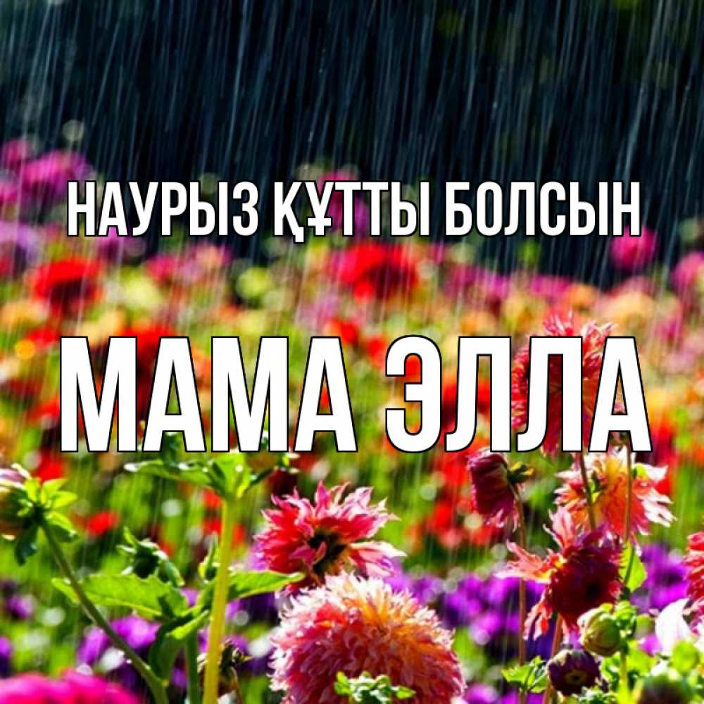 Открытка на каждый день с именем, Мама-Элла Наурыз құтты болсын цветы под дождиком к наурызу Прикольная открытка с пожеланием онлайн скачать бесплатно 