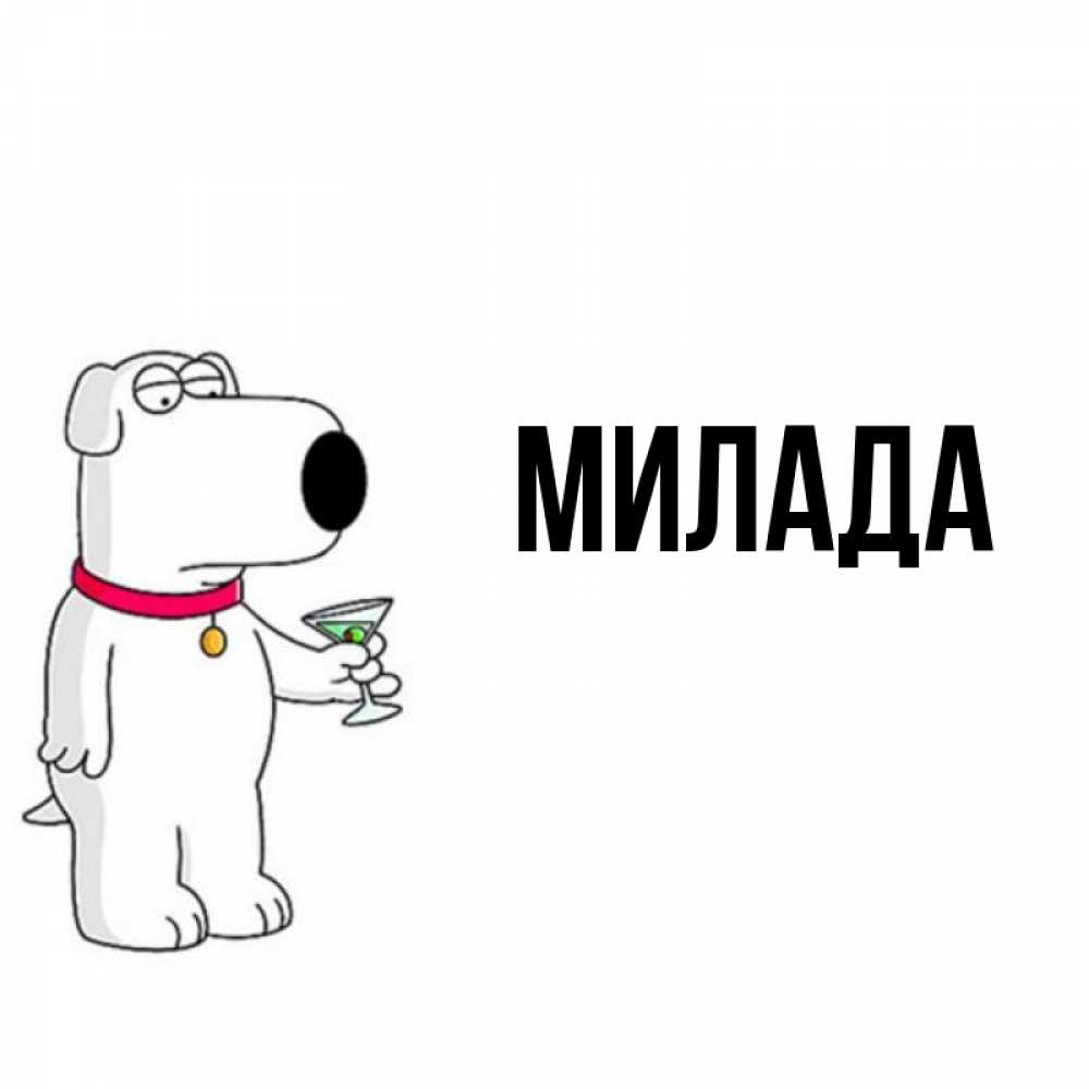 Открытка на каждый день с именем, Милада Главная песик с оливками Прикольная открытка с пожеланием онлайн скачать бесплатно 