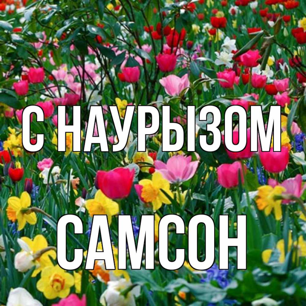 Открытка на каждый день с именем, Самсон С наурызом с наурызом праздником весны поздравления для женщины Прикольная открытка с пожеланием онлайн скачать бесплатно 