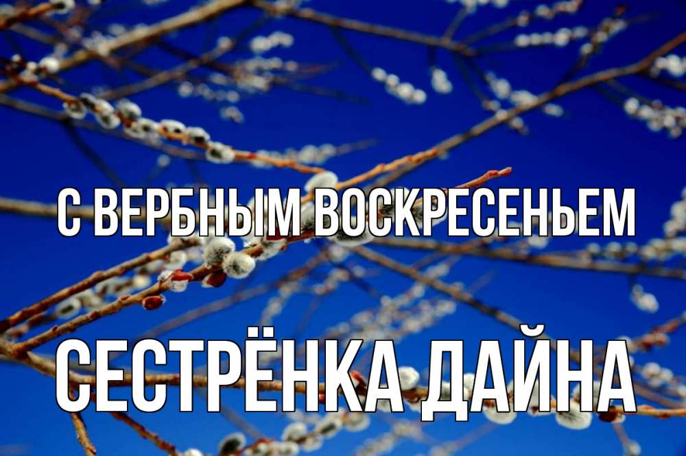 Открытка на каждый день с именем, Сестрёнка-Дайна С вербным воскресеньем верба Прикольная открытка с пожеланием онлайн скачать бесплатно 
