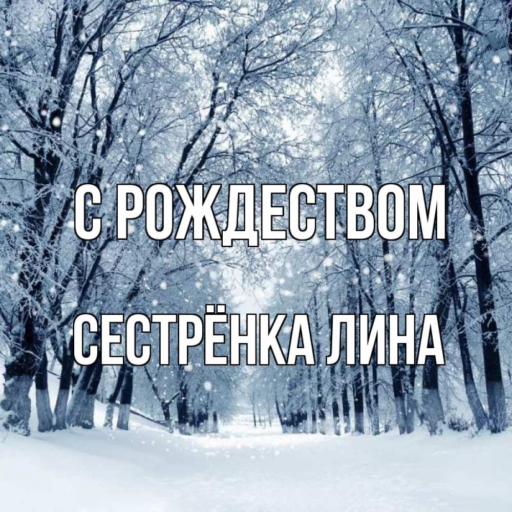 Открытка на каждый день с именем, Сестрёнка-Лина С рождеством снег, лес, парк Прикольная открытка с пожеланием онлайн скачать бесплатно 