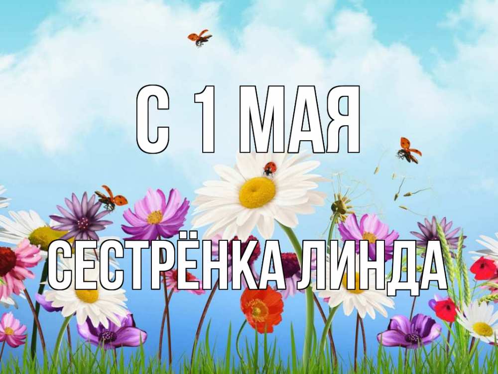 Открытка на каждый день с именем, Сестрёнка-Линда С 1 мая С 1 мая Прикольная открытка с пожеланием онлайн скачать бесплатно 