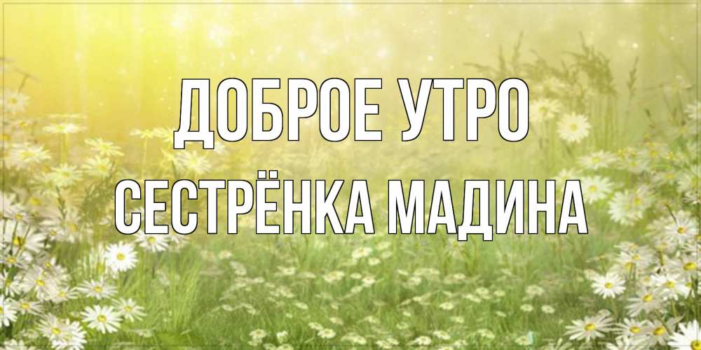 Открытка на каждый день с именем, Сестрёнка-Мадина Доброе утро доброе утро Прикольная открытка с пожеланием онлайн скачать бесплатно 