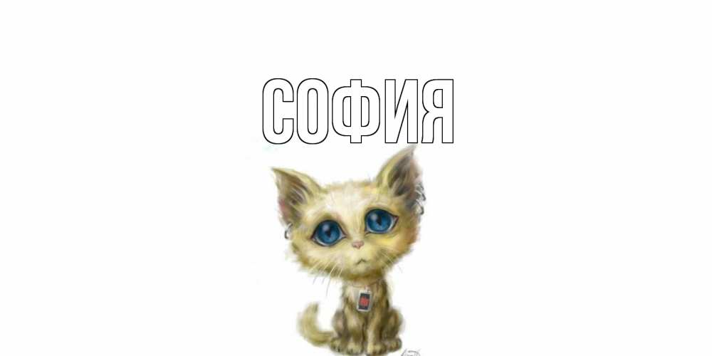Открытка на каждый день с именем, София Главная прости меня открытка с котиком Прикольная открытка с пожеланием онлайн скачать бесплатно 