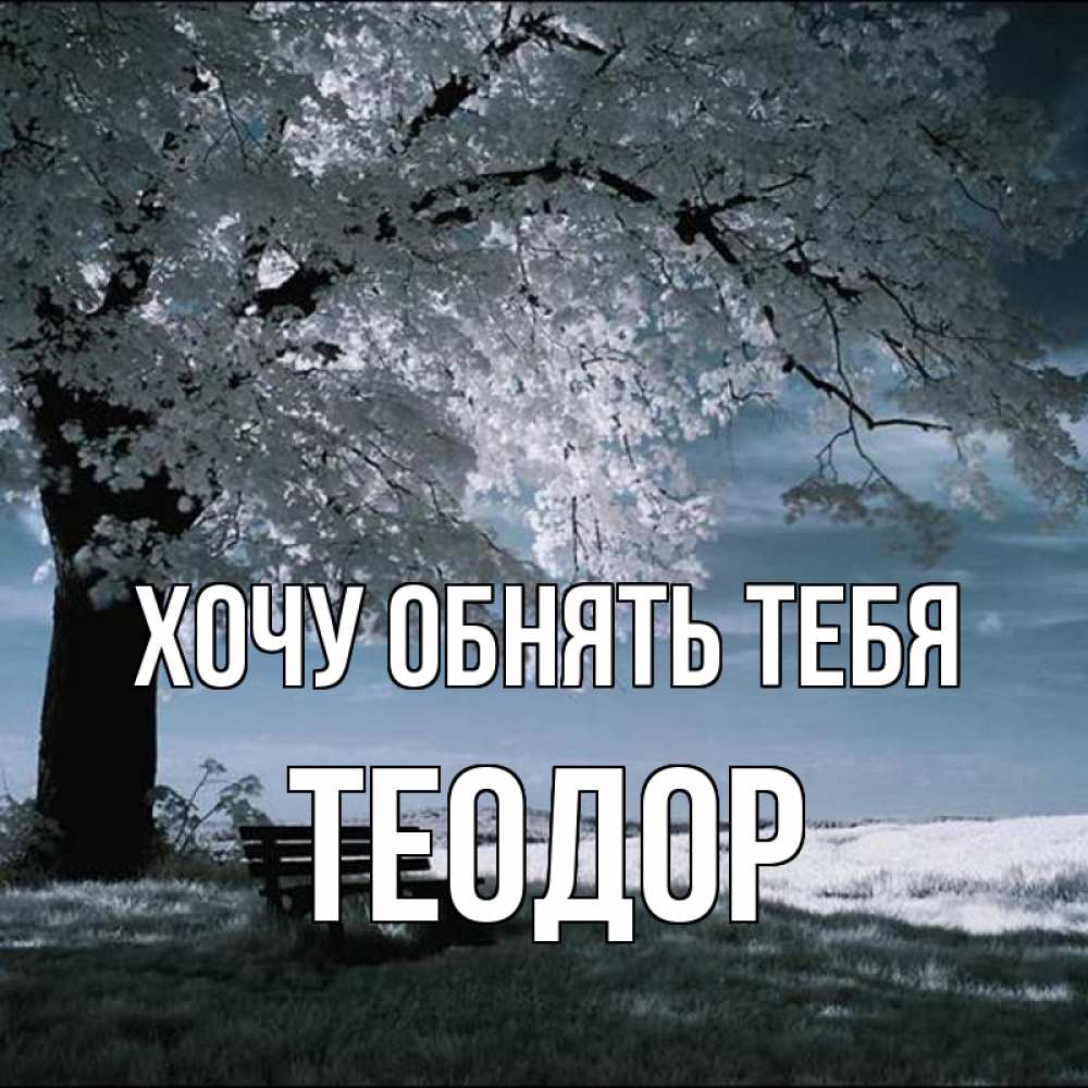 Открытка на каждый день с именем, Теодор Хочу обнять тебя дерево Прикольная открытка с пожеланием онлайн скачать бесплатно 