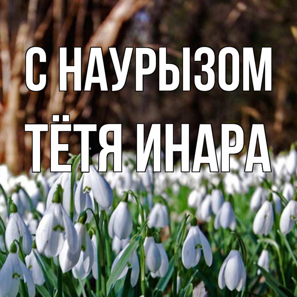 Открытка на каждый день с именем, Тётя-Инара С наурызом с подснежниками 1 Прикольная открытка с пожеланием онлайн скачать бесплатно 