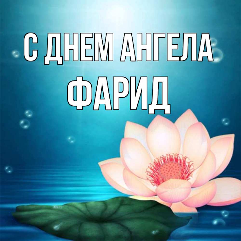 Открытка на каждый день с именем, Фарид С днем ангела кувшинка Прикольная открытка с пожеланием онлайн скачать бесплатно 