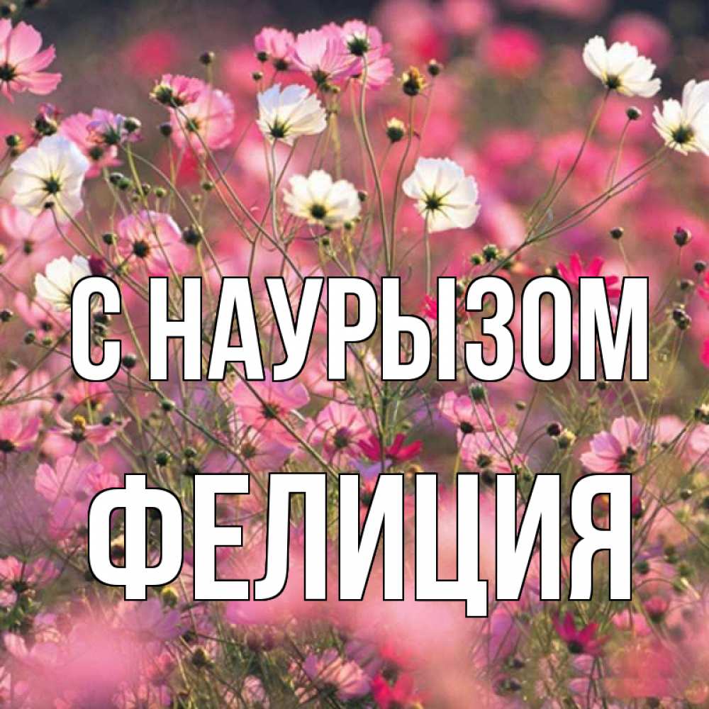 Открытка на каждый день с именем, Фелиция С наурызом красиво 1 Прикольная открытка с пожеланием онлайн скачать бесплатно 
