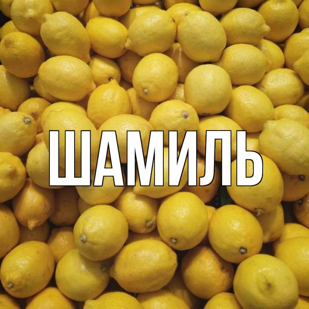 Открытка на каждый день с именем, Шамиль Главная это точно поможет Прикольная открытка с пожеланием онлайн скачать бесплатно 