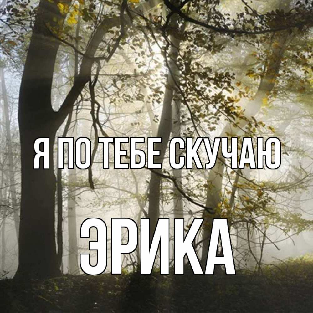 Открытка на каждый день с именем, Эрика Я по тебе скучаю грустно Прикольная открытка с пожеланием онлайн скачать бесплатно 