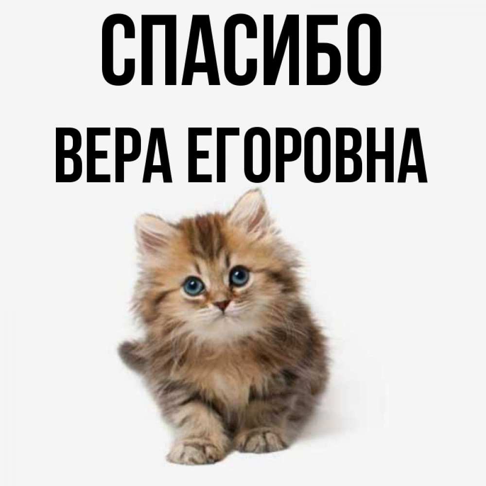 Спасибо Вера