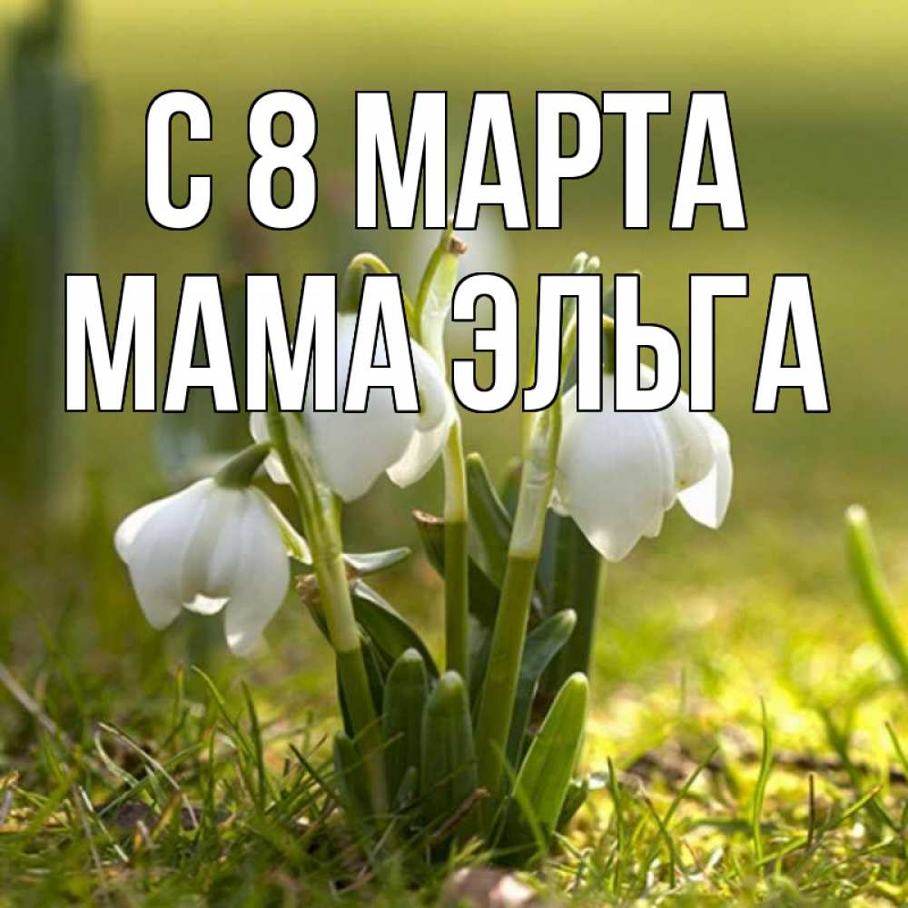 Открытка на каждый день с именем, Мама-Эльга С 8 марта ранние цветы 2 Прикольная открытка с пожеланием онлайн скачать бесплатно 