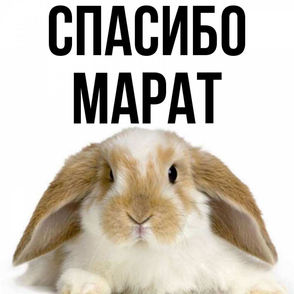 Картинки С Именем Марат