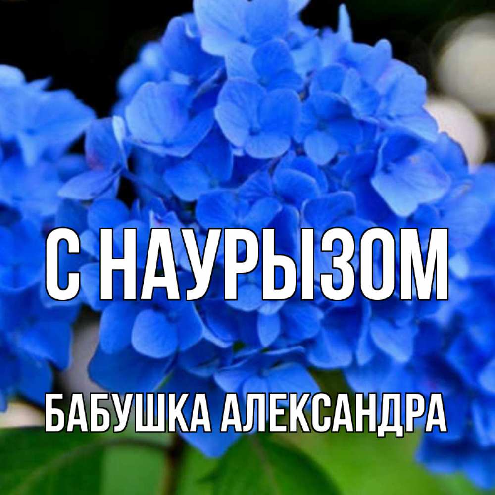 Открытка на каждый день с именем, Бабушка-Александра С наурызом синие цветы Прикольная открытка с пожеланием онлайн скачать бесплатно 