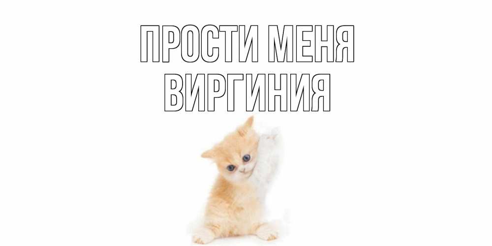 Открытка на каждый день с именем, Виргиния Прости меня кот Прикольная открытка с пожеланием онлайн скачать бесплатно 