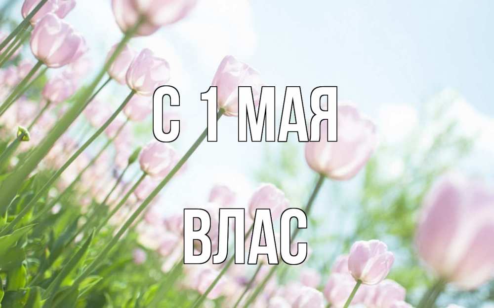 Открытка на каждый день с именем, Влас С 1 мая С 1 мая Прикольная открытка с пожеланием онлайн скачать бесплатно 