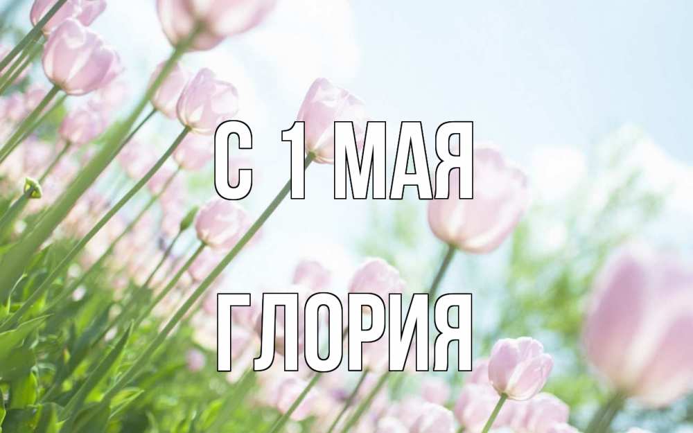 Открытка на каждый день с именем, Глория С 1 мая С 1 мая Прикольная открытка с пожеланием онлайн скачать бесплатно 