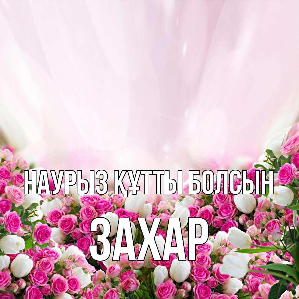 Открытка на каждый день с именем, Захар Наурыз құтты болсын под снегом Прикольная открытка с пожеланием онлайн скачать бесплатно 
