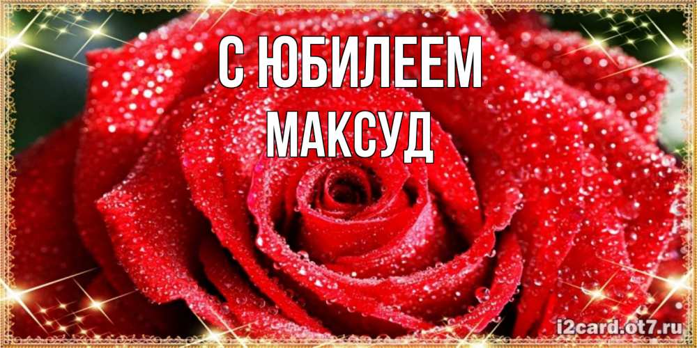 Открытка на каждый день с именем, Максуд С юбилеем роса и роза. открытка с красивой розой Прикольная открытка с пожеланием онлайн скачать бесплатно 