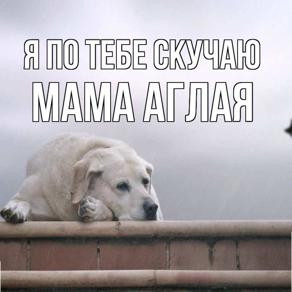 Открытка на каждый день с именем, Мама-Аглая Я по тебе скучаю ждет Прикольная открытка с пожеланием онлайн скачать бесплатно 