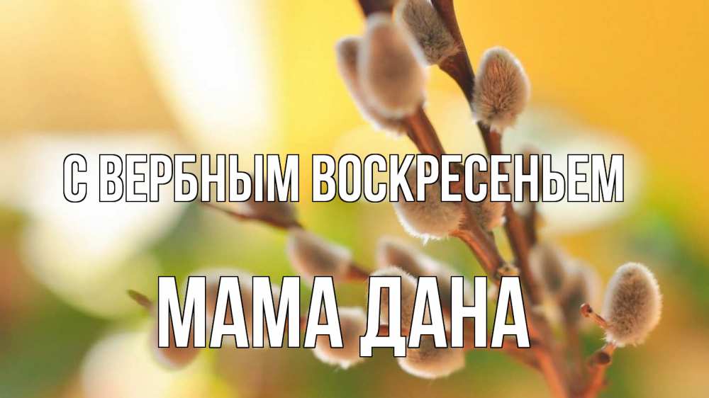 Открытка на каждый день с именем, Мама-Дана С вербным воскресеньем верба 1 Прикольная открытка с пожеланием онлайн скачать бесплатно 