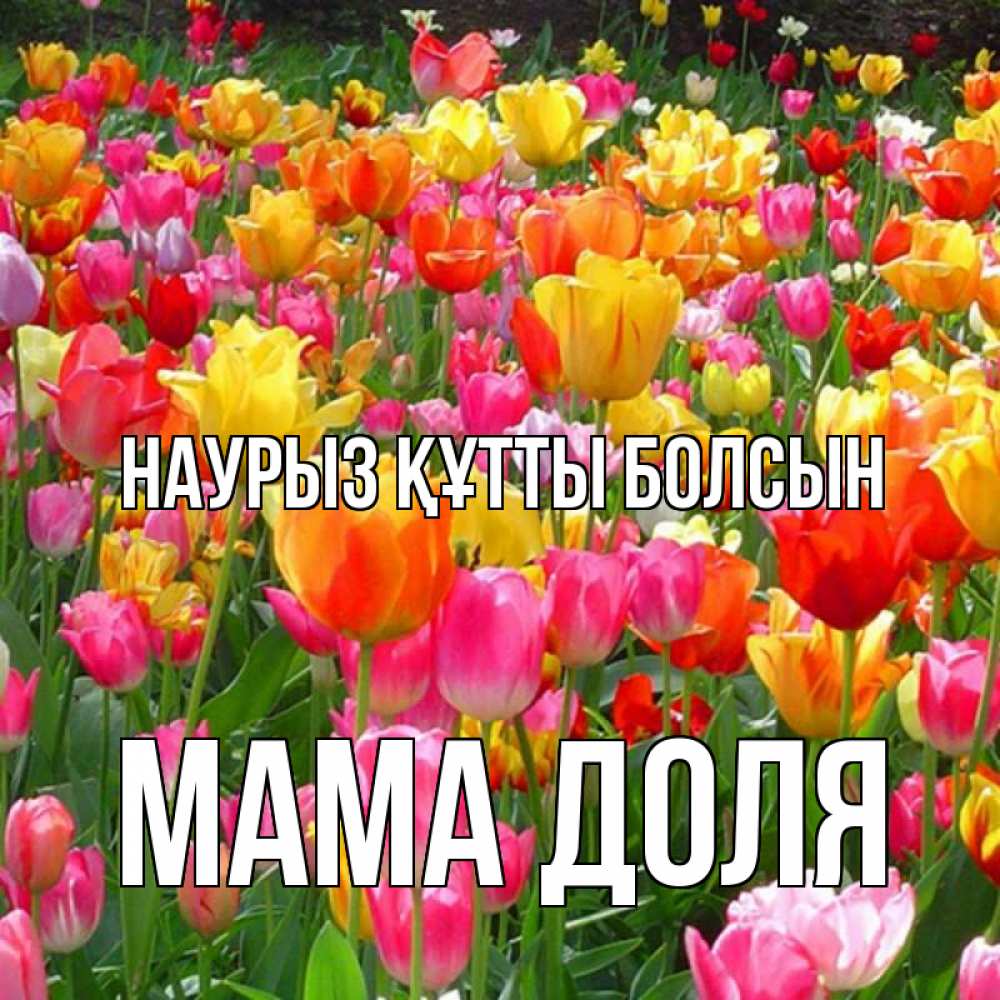 Открытка на каждый день с именем, Мама-Доля Наурыз құтты болсын на наурыз  ура ура Прикольная открытка с пожеланием онлайн скачать бесплатно 