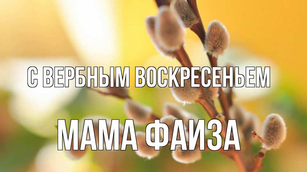 Открытка на каждый день с именем, Мама-Фаиза С вербным воскресеньем верба 1 Прикольная открытка с пожеланием онлайн скачать бесплатно 