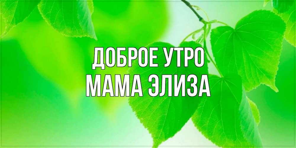 Открытка на каждый день с именем, Мама-Элиза Доброе утро доброе утро с березовыми листьями Прикольная открытка с пожеланием онлайн скачать бесплатно 