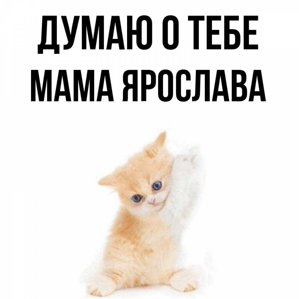 Открытка на каждый день с именем, Мама-Ярослава Думаю о тебе зверушки и милота Прикольная открытка с пожеланием онлайн скачать бесплатно 