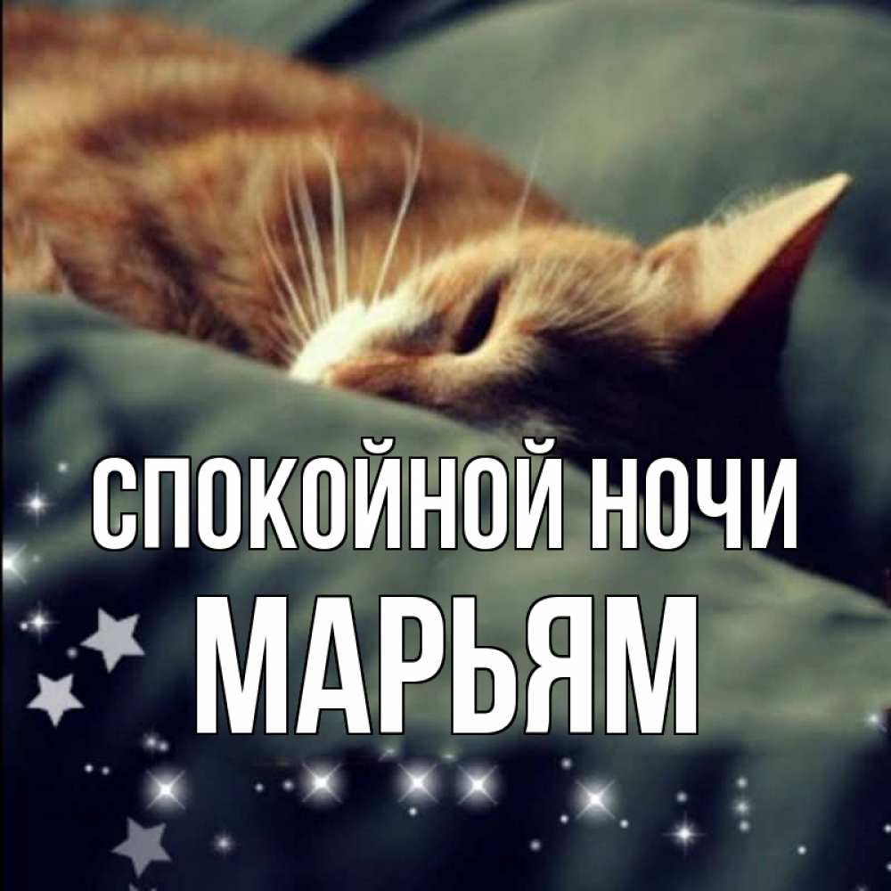 Открытка на каждый день с именем, Марьям Спокойной ночи кроватка Прикольная открытка с пожеланием онлайн скачать бесплатно 