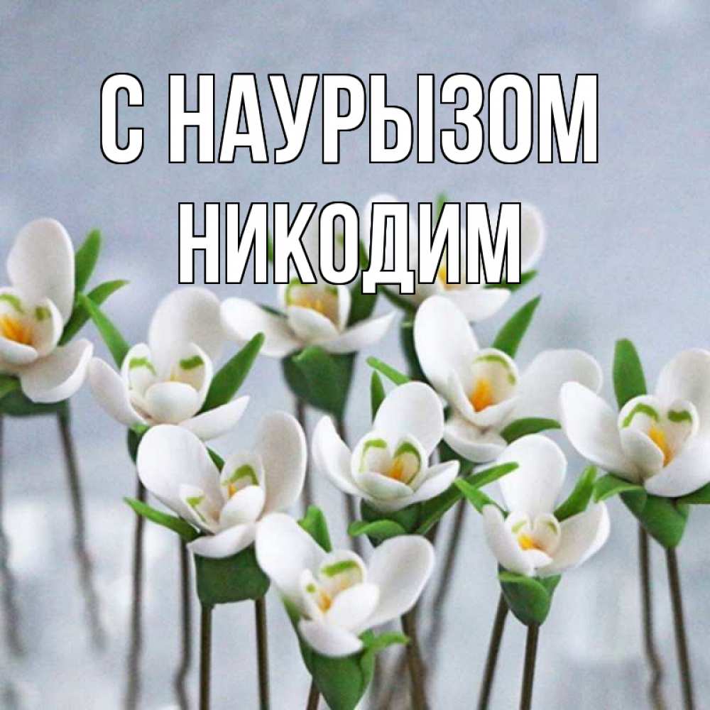 Открытка на каждый день с именем, Никодим С наурызом весенние цветы Прикольная открытка с пожеланием онлайн скачать бесплатно 