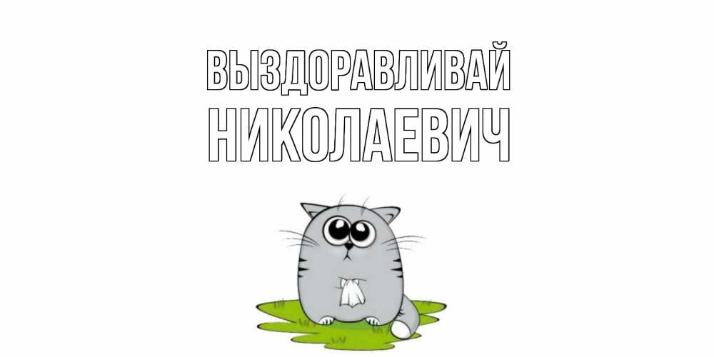 Открытка на каждый день с именем, Николаевич Выздоравливай кот и открытки про выздоровление Прикольная открытка с пожеланием онлайн скачать бесплатно 