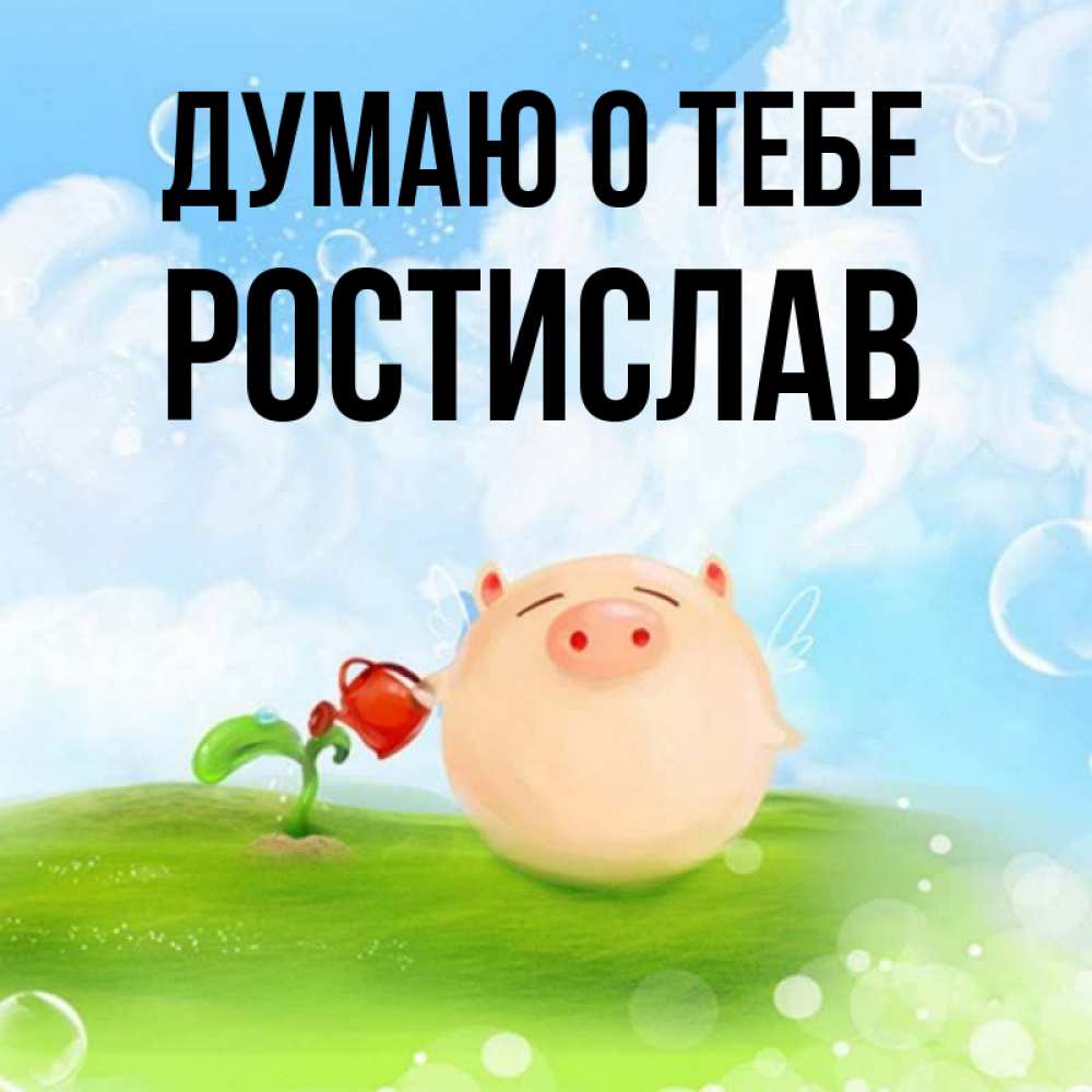 Открытка на каждый день с именем, Ростислав Думаю о тебе позитивная свинюшка Прикольная открытка с пожеланием онлайн скачать бесплатно 