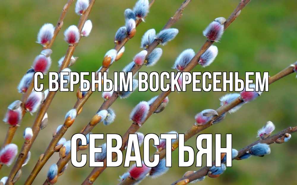 Открытка на каждый день с именем, Севастьян С вербным воскресеньем верба Прикольная открытка с пожеланием онлайн скачать бесплатно 