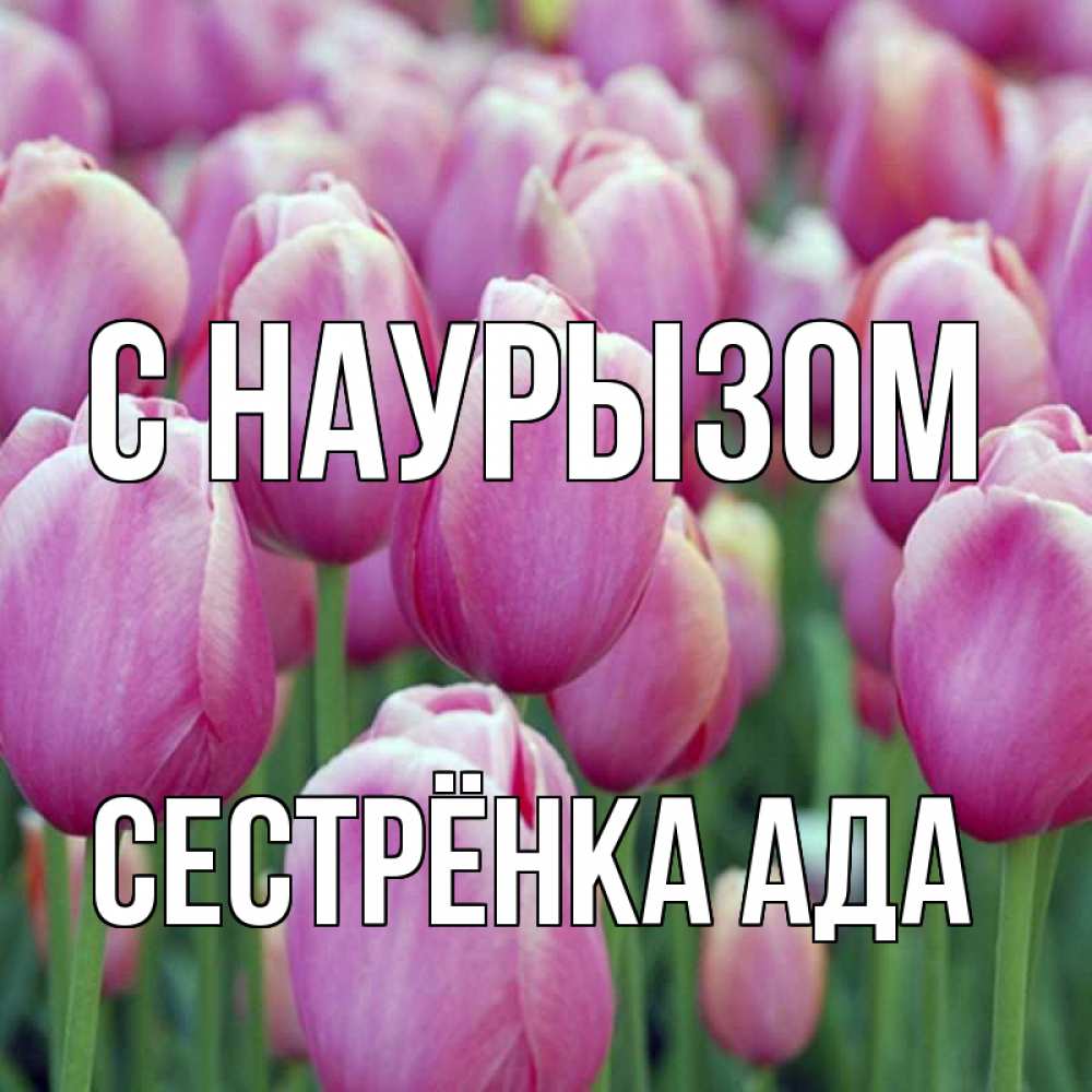 Открытка на каждый день с именем, Сестрёнка-Ада С наурызом праздник весны наурыз 69 Прикольная открытка с пожеланием онлайн скачать бесплатно 